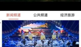 广电爆料新闻视频下载,新闻视频下载背后的真相