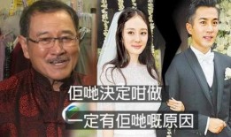 杨幂爆料爸爸离婚视频,揭秘家庭往事背后的真相