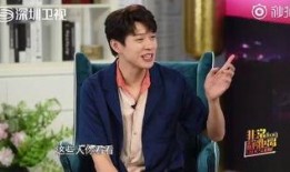 苏醒爆料何炅视频播放大全,何炅视频播放大全背后的精彩瞬间