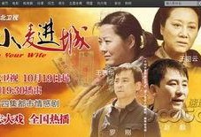 小麦电视剧全集在线观看,温情岁月，感人至深，重温经典！