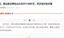 青岛爆料最新消息新闻,聚焦城市热点事件追踪