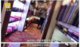 新城网红店爆料视频曝光,独家爆料视频带你探秘热门美食背后的故事